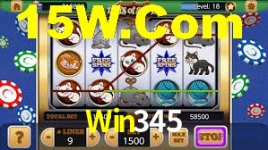 Premium Interface Win345